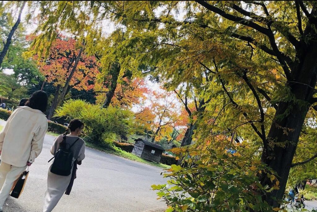 公園を散歩する男女